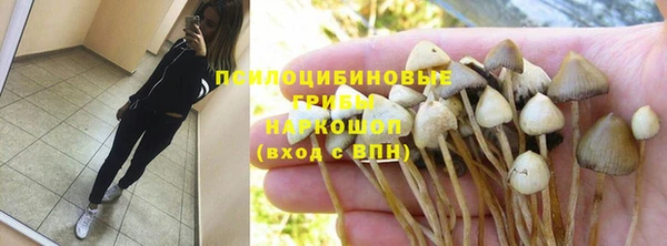 индика Вязьма