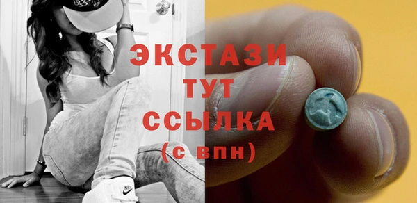 индика Вязьма