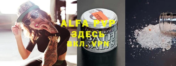 индика Вязьма