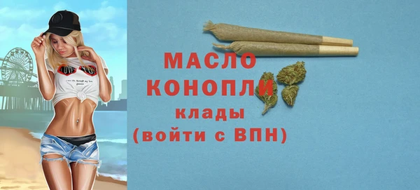 индика Вязьма