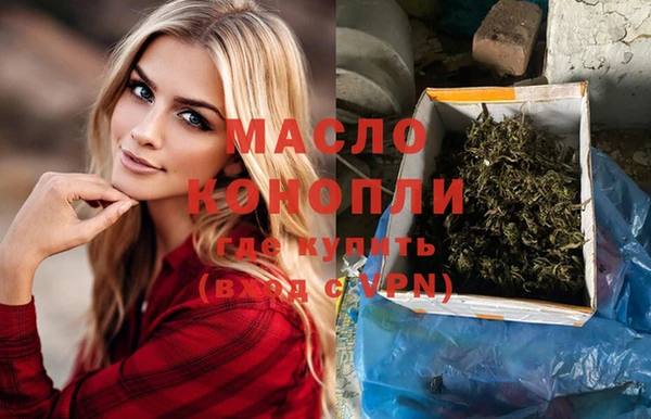 индика Вязьма