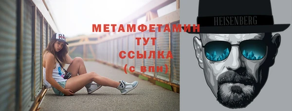 индика Вязьма