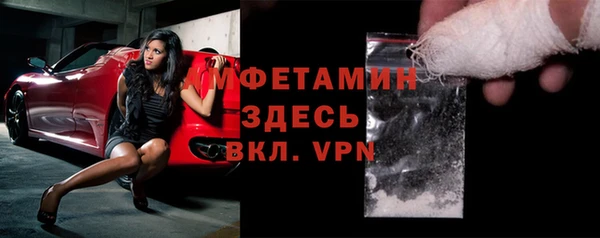 индика Вязьма