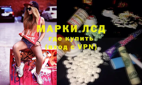 индика Вязьма
