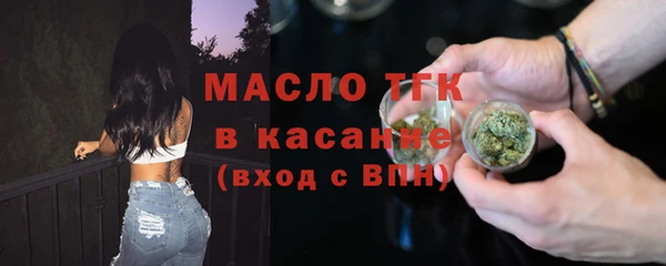 индика Вязьма