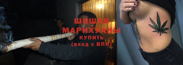 индика Вязьма
