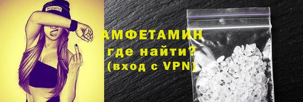 индика Вязьма