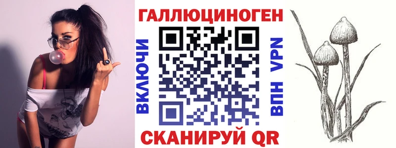 Купить  Каргополь  Псилоцибиновые грибы Magic Shrooms 