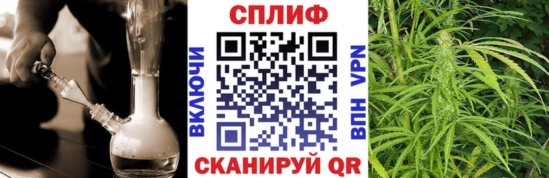 Шишки марихуана Ganja Каргополь